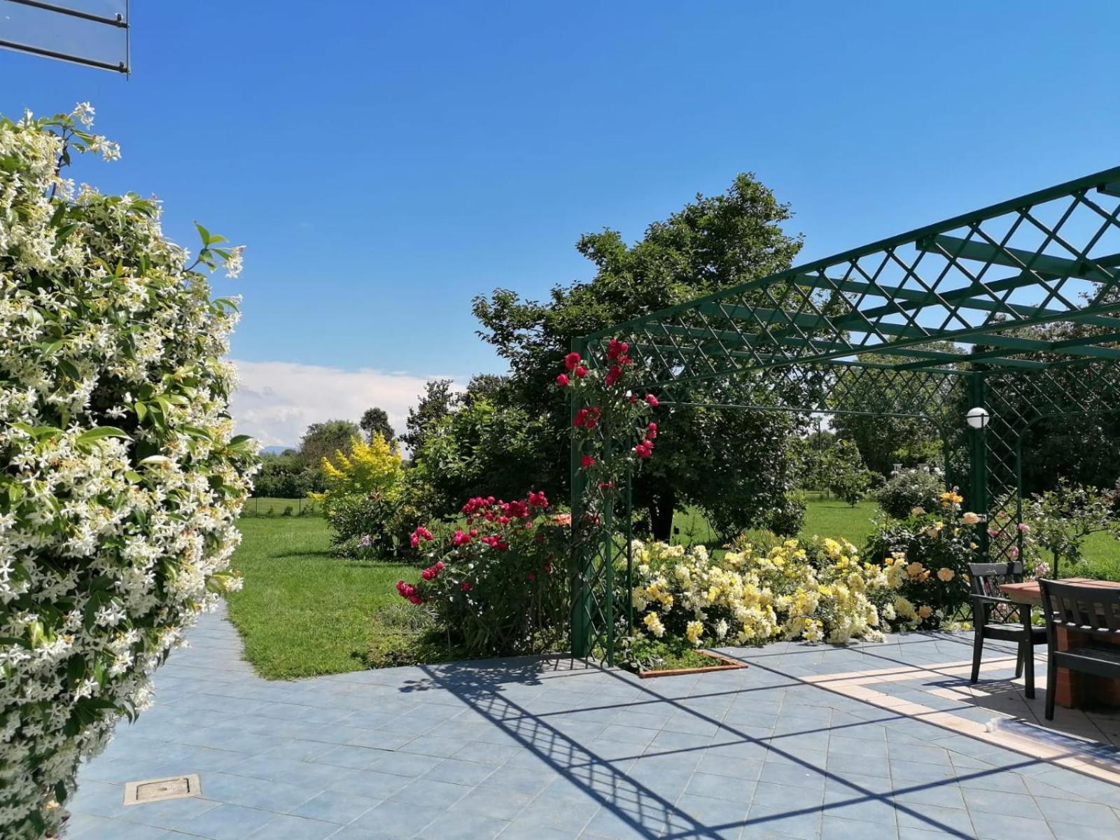 Versilia - Pietrasanta - Le Colmate Guesthouse Tonfano Dış mekan fotoğraf